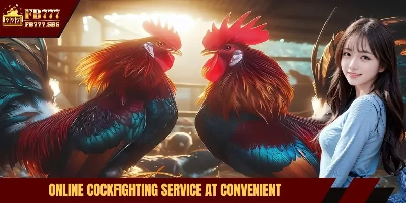 Online cockfighting service at convenient, easy-to-access system