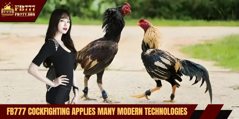 FB777 cockfighting applies many modern technologies