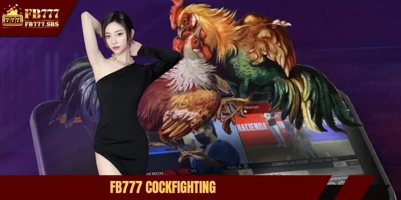 FB777 cockfighting