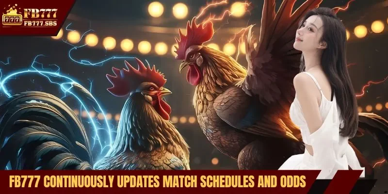 FB777 continuously updates match schedules and odds